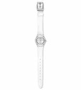 Наручные часы Swatch SILVER KEEPER YSS296