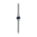 Swatch Damenuhr Sloane YSS288G