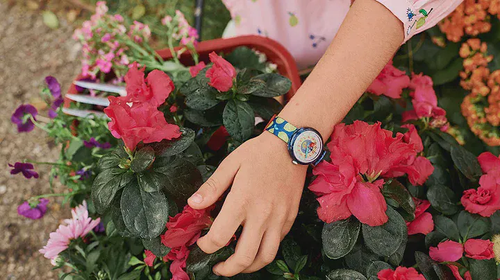 Flik Flak Garden Adventure collection 2020
